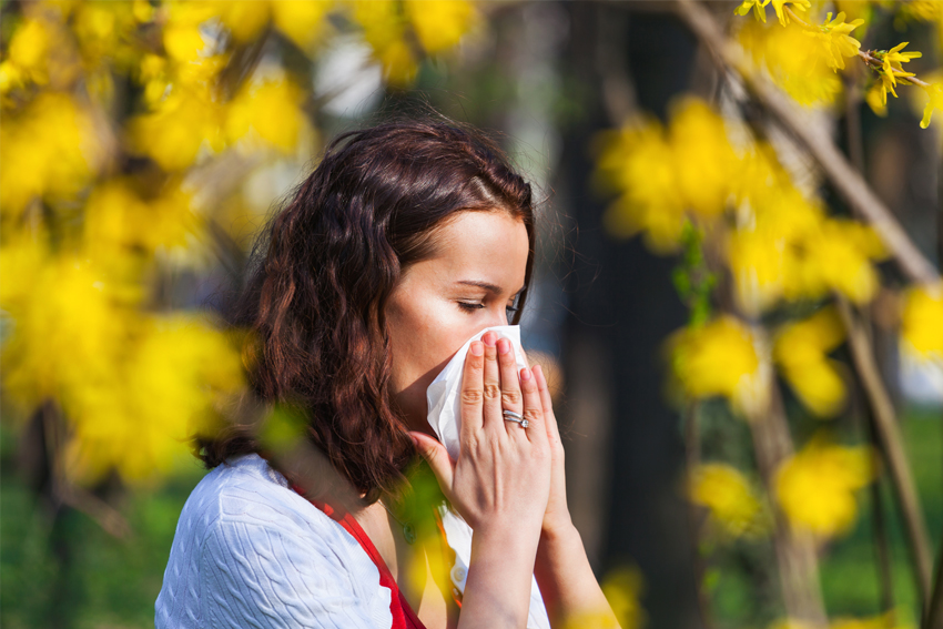 Dealing with hay fever at work